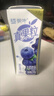 蒙牛真果粒蓝莓味牛奶饮品250g*12盒 小黄鸭IP 礼盒新老包装 含乳饮料 实拍图