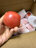 京喜加正宗沙瓤西红柿水果番茄自然熟新鲜蔬菜生鲜减肥单果80g起 山东沙瓤西红柿 5.7斤 净重 实拍图