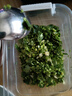 带根香菜100g 实拍图