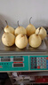 【已售50万斤】河北水晶鸭梨赵州鸭梨产地直发单果160g起 鸭梨带箱4斤（净重3.5斤） 实拍图