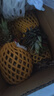 海南金钻凤梨新鲜10斤正宗菠萝整箱新鲜水果风梨当季香水菠萝特产 净重8.5~9斤（JD/顺丰送货上门） 实拍图