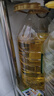 金龙鱼 食用油 非转基因 压榨 一级 纯正玉米油4L（新老包装随机发货） 实拍图