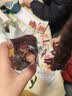 华味亨42g蜜饯梅子系列散装 蜜饯果脯果干酸甜梅子干零食小吃西梅干 42g韩式话梅 实拍图