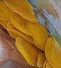 三只松鼠芒果干500g/袋 休闲零食水果干蜜饯果脯娱乐办公室小吃量贩装 实拍图