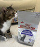 皇家绝育成猫粮 SA37通用粮 1-7岁2KG 实拍图