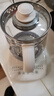 九阳（Joyoung）1.5L养生壶 0胶水煮茶器 316L不锈钢电烧水壶 保温花茶壶 带滤网 WY303 实拍图