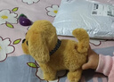 Honey Joy仿真毛绒儿童玩具狗狗会走路会叫电动小狗宠物狗金毛新年礼物 实拍图