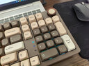 SKN青龙4.0/ultra 机械键盘 三模无线键盘 98配列键盘 Gasket结构客制化键盘 ZMK/QMK方案 2U大键0 【新品】青龙4.0 Ultra 漪【瑰夏拿铁轴】 实拍图