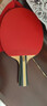 双鱼乒乓球拍横拍单只 6星六星纯木成品拍 6D-C长柄 赠3球 实拍图