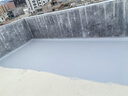 雨虹防水房屋顶防水涂料 防水胶补漏材料裂缝渗水耐高低温防冻晒室外堵漏 实拍图