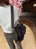 凯浦林kipling男女新款轻便出行通勤出游手提帆布单肩斜挎包 深黑色 实拍图
