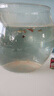 飞达三和圆形鱼缸塑料一体成型仿玻璃防摔耐摔不坏客厅小型桌面生态缸 巨无霸【超清8K高透/摔不碎/久用不糊】 实拍图