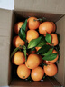 京觅秭归脐橙纽荷尔橙子净重9斤精品果200g+新鲜水果礼盒源头直发包邮 实拍图