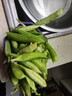 新鲜豌豆四川带壳青豆角水果甜豆荚农家蔬菜 新鲜青豌豆荚净重1斤 实拍图