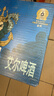 青岛啤酒（TsingTao）海神IPA精酿啤酒500ml*12听整箱装 年货送礼 实拍图
