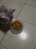 伟嘉成猫猫粮全价粮1.3kg海洋鱼味夹心粮布偶蓝猫橘猫 实拍图
