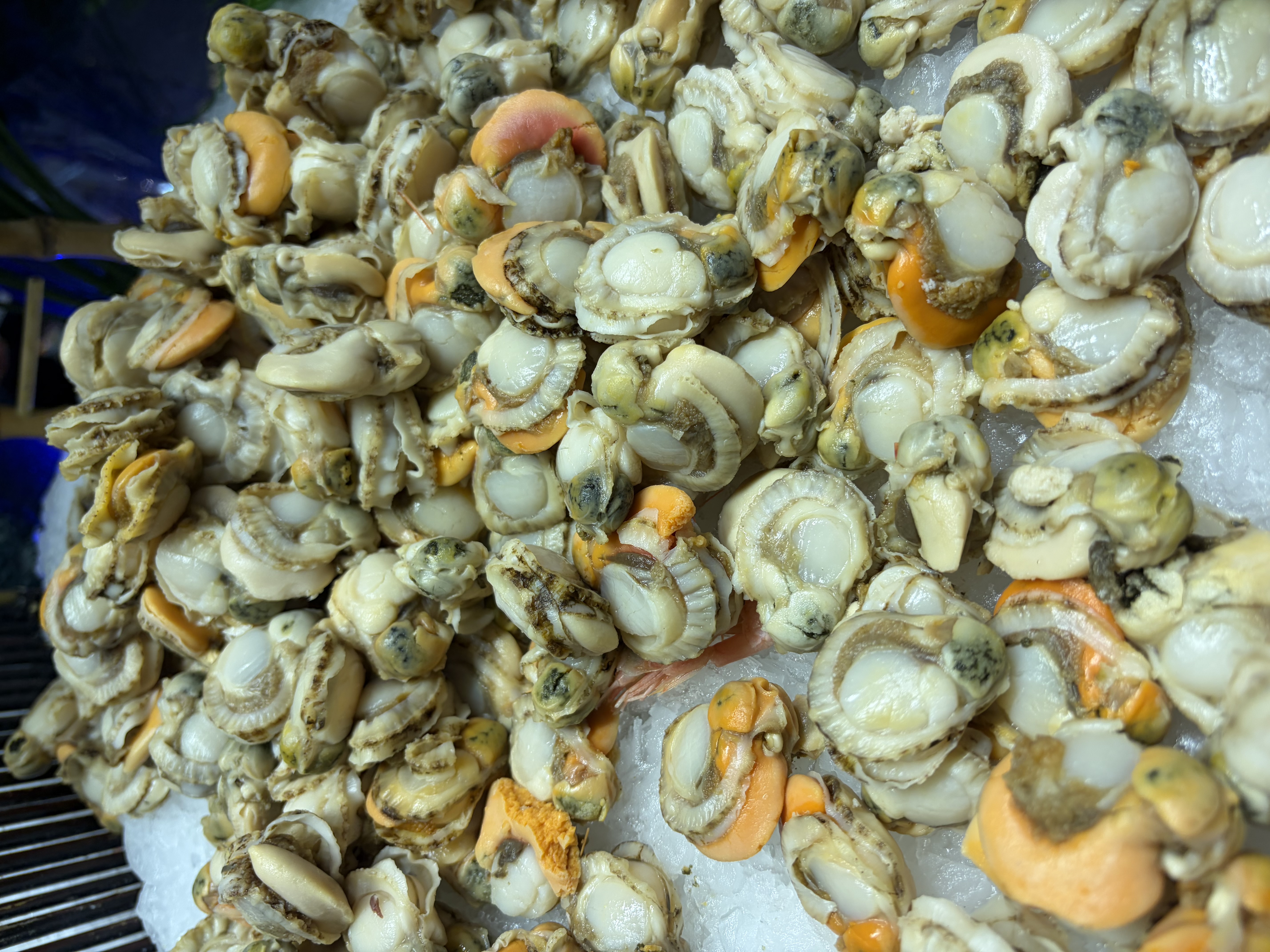 潮之选猪肉脯250g手撕猪肉片广东潮汕风味特产猪肉干大片肉脯即食 原味 实拍图