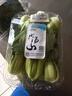 小汤山 油菜 250g 基地直供新鲜蔬菜GAP认证 实拍图