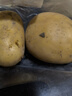 应季新土豆约500g 实拍图