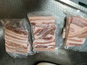 家佳康 烧烤五花肉片净重720g 冷冻烤肉 去皮打膘自繁自养 中粮出品 实拍图
