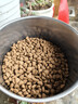 鼎鑫狗粮40斤装牛肉双拼通用犬粮幼犬老年犬粮训犬小中大型成犬狗粮 实拍图