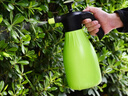 得力（deli）浇花喷壶喷雾器园艺喷水壶洗车酒精消毒气压式2L  实拍图