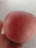 京鲜生 烟台红富士苹果 净重10斤 单果190g以上 生鲜水果 礼盒装 实拍图