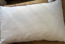 水星家纺枕头枕芯酒店枕头护颈枕头芯家用一对纯棉抗菌可水洗中枕48x74cm 实拍图