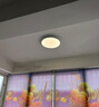 雷士（NVC）阳台灯卧室灯吸顶灯书房现代简约防蚊虫led照明24瓦暖白光 实拍图