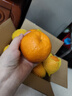 京鲜生 四川春见耙耙柑 净重5斤 单果180g起 生鲜水果柑橘桔子年货礼盒 实拍图