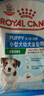 皇家狗粮 幼犬狗粮 宠物 小型犬 MIJ31 全价犬粮 2-10月 2KG 实拍图