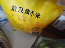 吾谷为伴敖汉小米2斤 赤峰小米粥黄小米 金苗k1蒸饭更软糯 实拍图