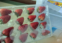 京鲜生 红颜奶油草莓 2斤装 30-40颗 单果22g+ 水果 春节也送货 实拍图