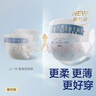 babycare皇室狮子王国纸尿裤bbc宝宝尿片夏季超薄透气尿不湿尿片迷你装 拉拉裤【XL】18片 适合12-17KG 实拍图