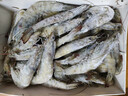 万景北海鲜冻国产白虾巨无霸 单冻无冰净重3斤/盒 30-45只 聚餐年货 实拍图