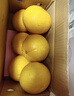 京觅 福建爆汁黄金葡萄柚 新鲜水果单果300g起 8.5斤装 源头直发包邮 实拍图