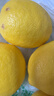 京鲜生 安岳黄柠檬 8粒 单果95g起 生鲜水果 实拍图