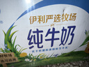 伊利【新鲜日期】纯牛奶250ml*24盒 优质乳蛋白 严选牧场 年货礼盒装 实拍图