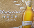 百威金尊啤酒500ml*12瓶整箱装Supreme 京东自营新年送礼喜酒 实拍图