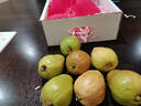 京觅福建软红心芭乐3斤礼盒装番石榴 年货节 单果125g起 源头直发  实拍图