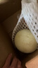 京鲜生 【年货】海南头茬玉菇甜瓜 净重8-9斤 3-4粒装 水果源头直发包邮 实拍图