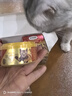 弗列加特 0乳糖鲜肉猫主食罐头 幼猫鲜鸡肉味 95g*6罐 实拍图