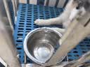 贝尼宠 猫碗 狗盆 不锈钢 挂碗狗笼固定狗碗狗食盆宠物猫狗用的挂式水碗 不锈钢狗碗+支架中号碗直径16cm 实拍图