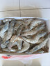 卖鱼郎先生青岛盐冻大虾净重3.6斤 10-15只/斤 白虾大虾基围虾生鲜 虾类 实拍图