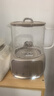 苏泊尔（SUPOR）全玻璃养生壶煮茶壶1L迷你养生杯煮茶器花茶壶 恒温壶母婴级 保温烧水壶316L带滤网0胶水SW-10Y08Q 实拍图