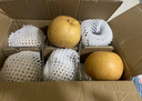 三萌果蔬正宗山东秋月梨 新鲜现摘莱阳冰糖梨子水果礼盒节日送礼 【金奖级·老树果王】单果400g+丨脆甜双绝 5斤装【高复购率-80%选择】净4.5斤 实拍图