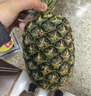 佳农 菲律宾进口菠萝 2个装 凤梨 单果净重2斤 生鲜水果源头直发 包邮 实拍图