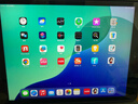 Apple苹果ipad9/10/Pro2022/21/20款 /air5/mini7/6二手平板电脑 iPad 9代 实拍图