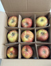 佳农新疆阿克苏冰糖心苹果8斤 果径75-80mm 25年新果 水果礼盒 实拍图