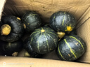 京鲜生 云南高山贝贝南瓜 净4.5斤(粉糯瓜) 中果300g+ 粉糯辅 源头直发 实拍图